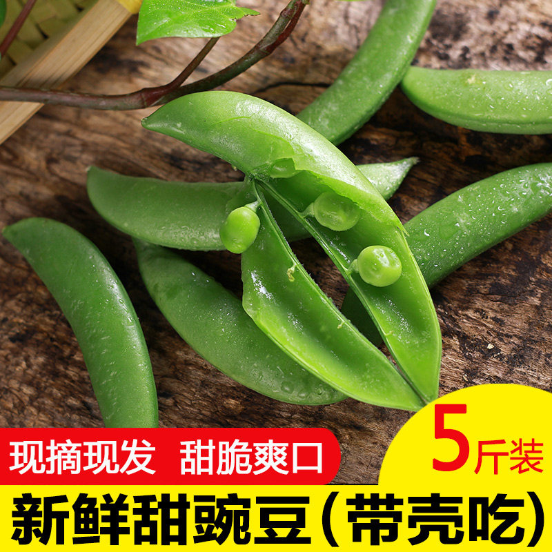 云南新鲜蔬菜带壳甜豆鲜豌豆荚青豌豆非荷兰豆 不剥壳甜豌豆5斤在类目 水产肉类/新鲜蔬果/熟食, 新鲜蔬菜/蔬菜制品, 新鲜蔬菜, 其它中 - 来自Buy2taobao.com提供专业的淘宝代购服务