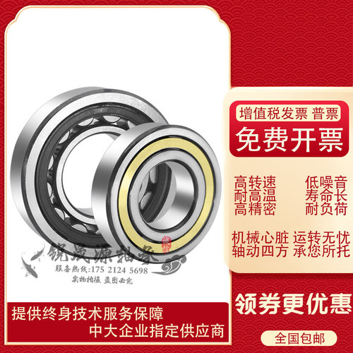 进口德国GAL轴承NU NJ202 204 205 206 207 208 209 E.TVP2 尼龙