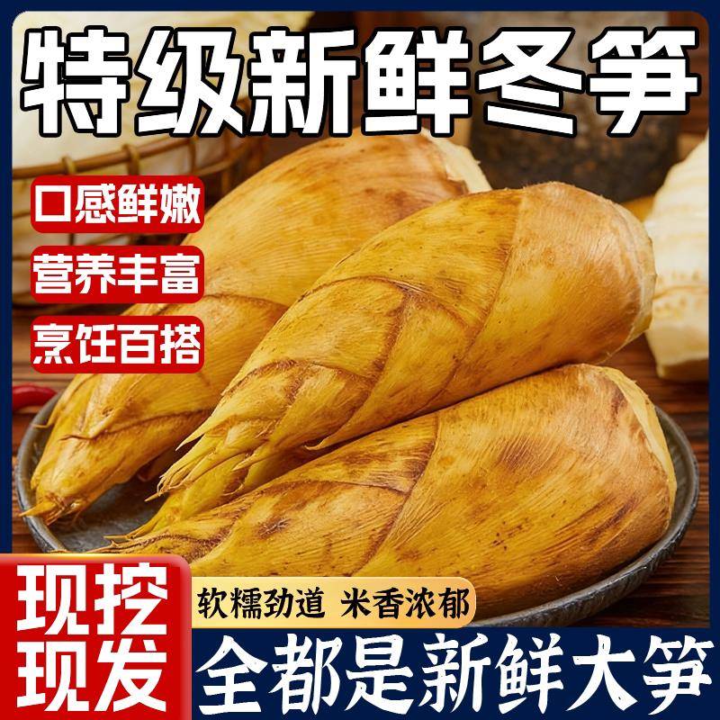 天猫热销！特级新鲜冬笋新鲜现挖5斤鲜笋竹笋清水笋春笋火锅笋