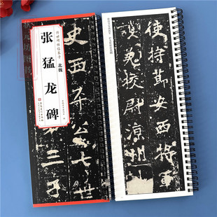 北魏 张猛龙碑 附简体 全文魏碑字帖原贴毛笔书法字帖 传世碑帖临摹卡成人楷书书法练习册历代碑帖精粹原文碑帖安徽美术出版社