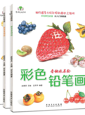 彩色铅笔画入门教程素描铅笔画