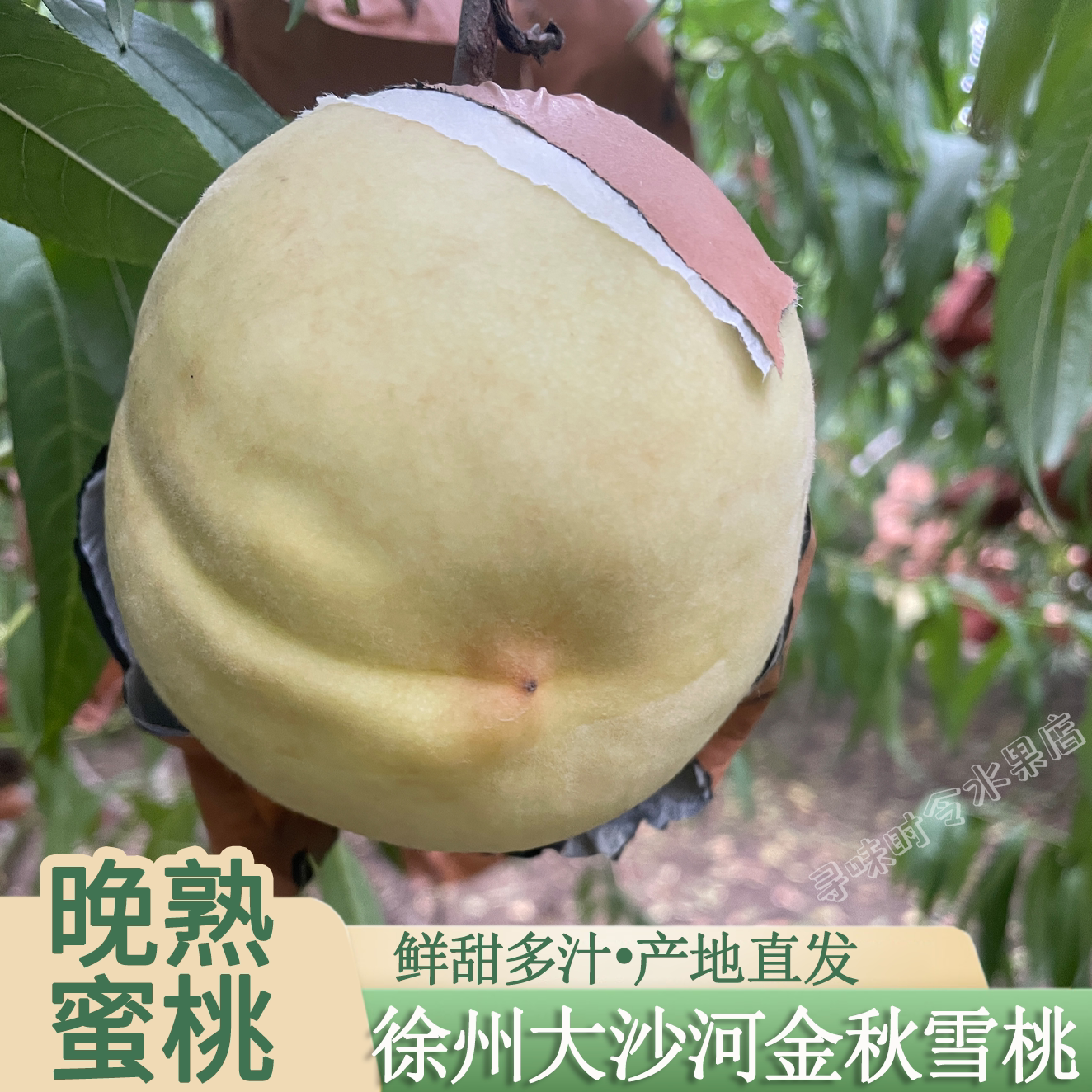 大沙河丑白桃脆甜多汁新鲜