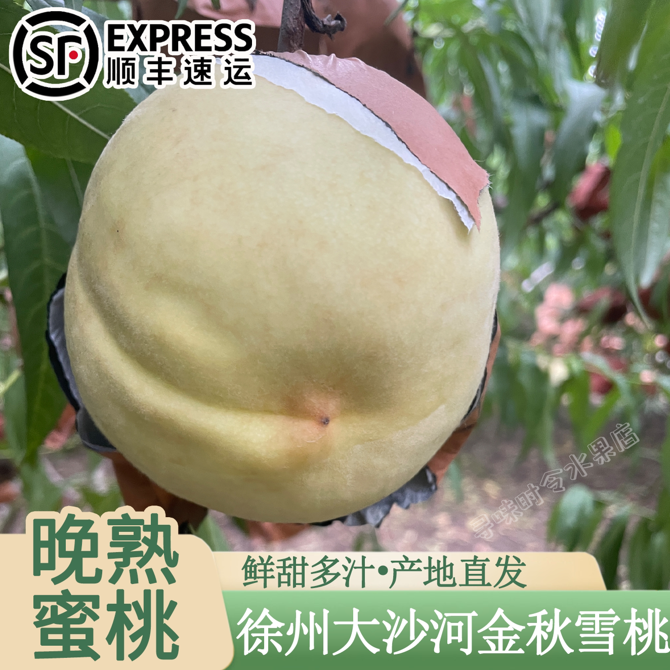 大沙河丑白桃脆甜多汁新鲜