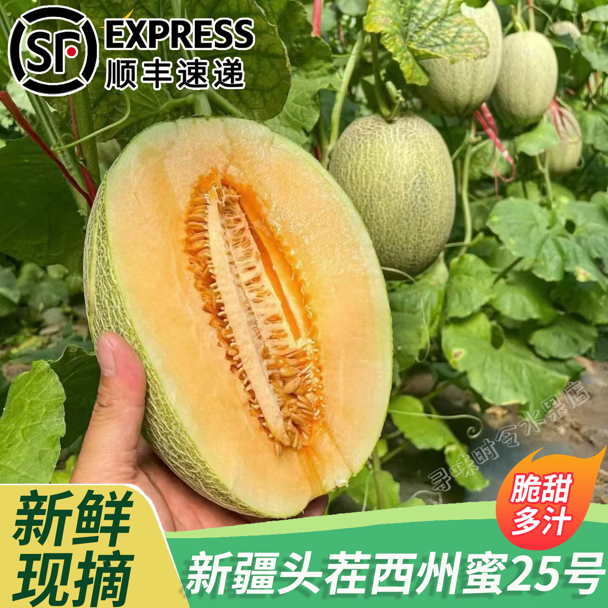 新疆头茬西州蜜哈密瓜25号吐鲁番一藤一瓜脆甜新鲜多汁现摘顺丰