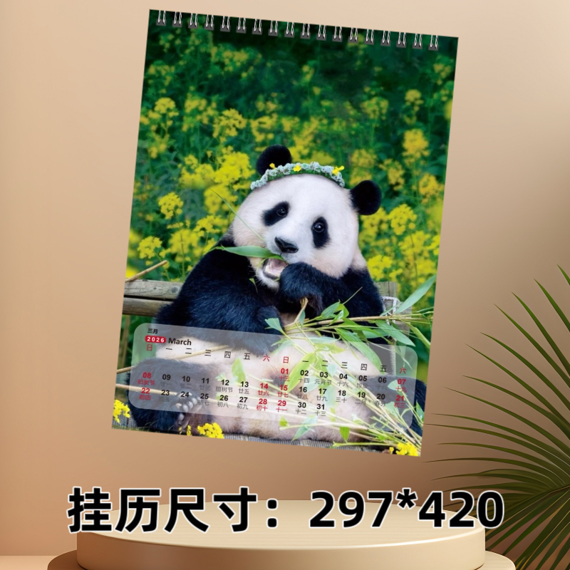 大熊猫福宝2026年双面台历日历桌面摆件挂历墙挂定制照片周边