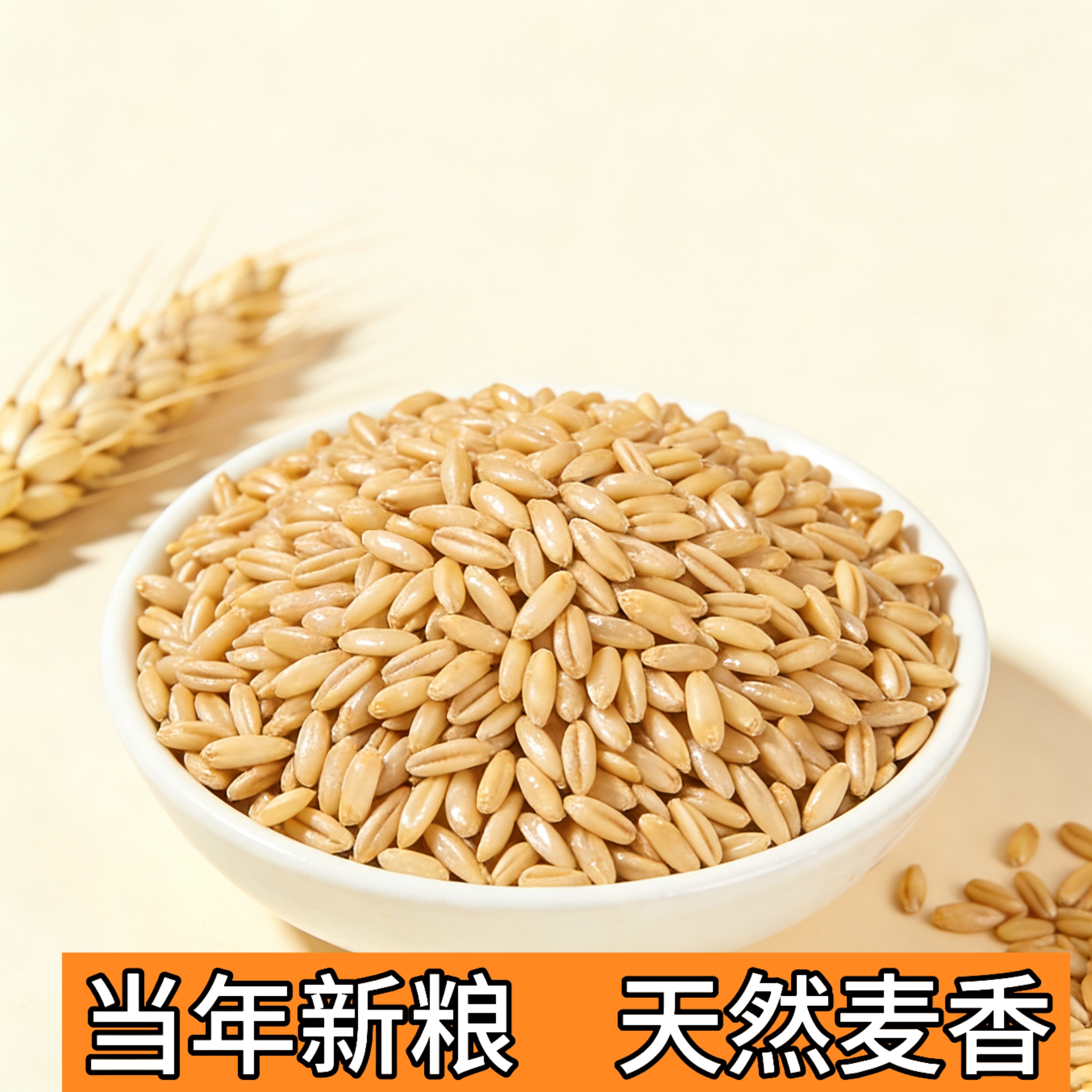 燕麦带壳中小型宠物鸟通用鸟粮食