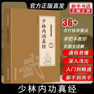 少林内功真经武术秘本图解丛书传承经典家庭实用书籍