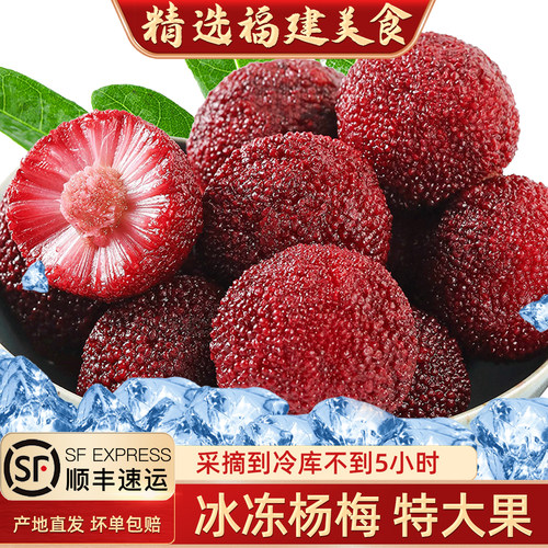 闽臻冰冻杨梅泡酒专用福建特产