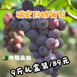 【现采】福安葡萄象环巨峰葡萄9斤礼盒新鲜孕妇当季水果纯甜无酸