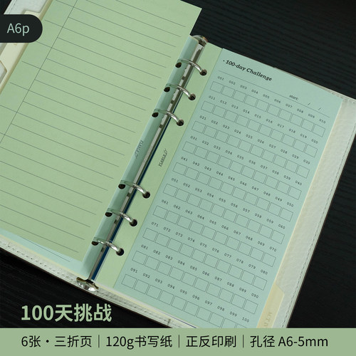 A6p｜100天挑战 二折页 手帐功能内页 A6per替换内芯