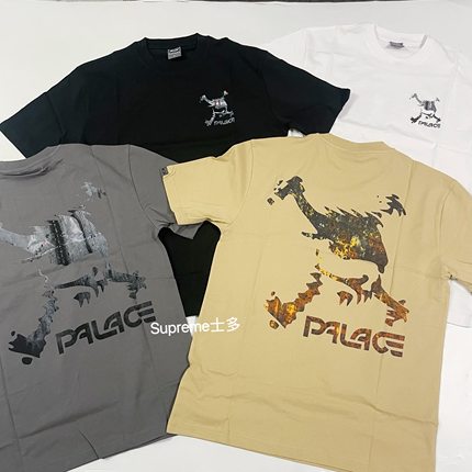 SUMMER23 PALACE x OAKLEY T-SHIRT 欧克利 联名短袖