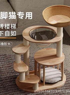 矮脚猫爬架实木猫窝猫树一体小型幼猫跳台曼基康短脚短腿专用猫架