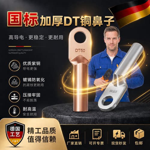 DT国标铜鼻子/厂标铜接头-500A