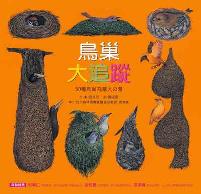 现货 铃木守鸟巢大追踪：50种鸟巢内幕大公开远流  原版进口书 童书 儿童读物