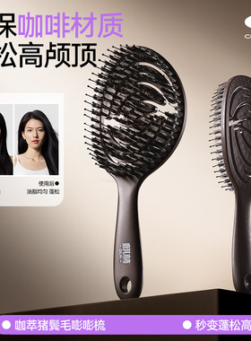咖啡渣猪鬓毛梳子蓬松梳高颅顶家用梳女士专用长发2025新款排骨梳