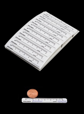 FST标尺29027-00 Ruler Label