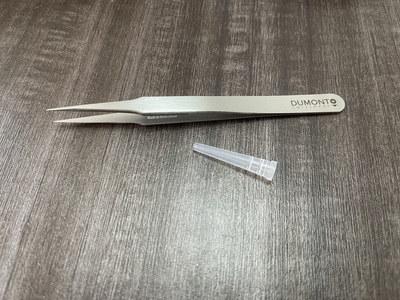 Dumont镊子0109-2-PO Dumont Tweezer Style 2 Dumostar