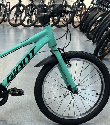 捷安特20寸儿童自行车挡泥板山地车挡泥板儿童挡泥板骑行装备配件