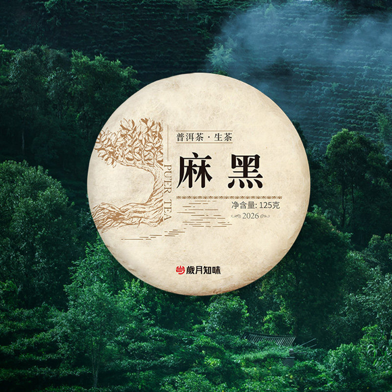 岁月知味2026年麻黑云南易武明前老树头春普洱生茶蜜香 茶叶125g
