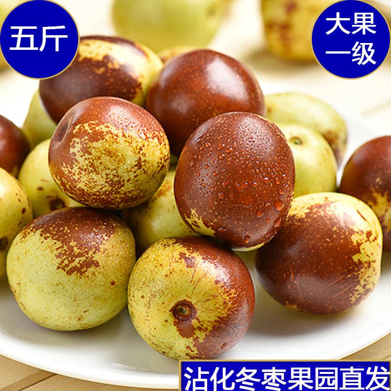 山东沾化冬枣5斤枣子新鲜当季水果脆枣鲜枣甜脆枣大青枣整箱包邮