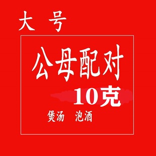 正品 大海干货中药材10克大号一对泡酒料煲汤男性大补品搭海马海龙