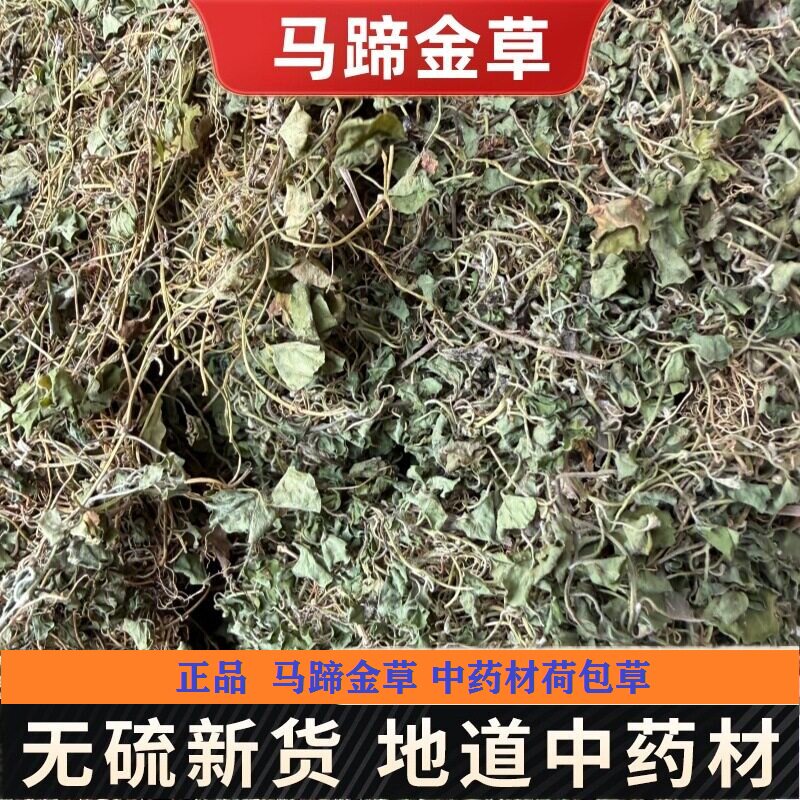 正品马蹄金草中药材荷包草 黄胆草小金钱草螺丕草小马蹄草化石草