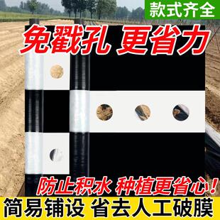带孔单白双白地膜农用种植黑白相间地膜除草膜保温保湿塑料薄膜