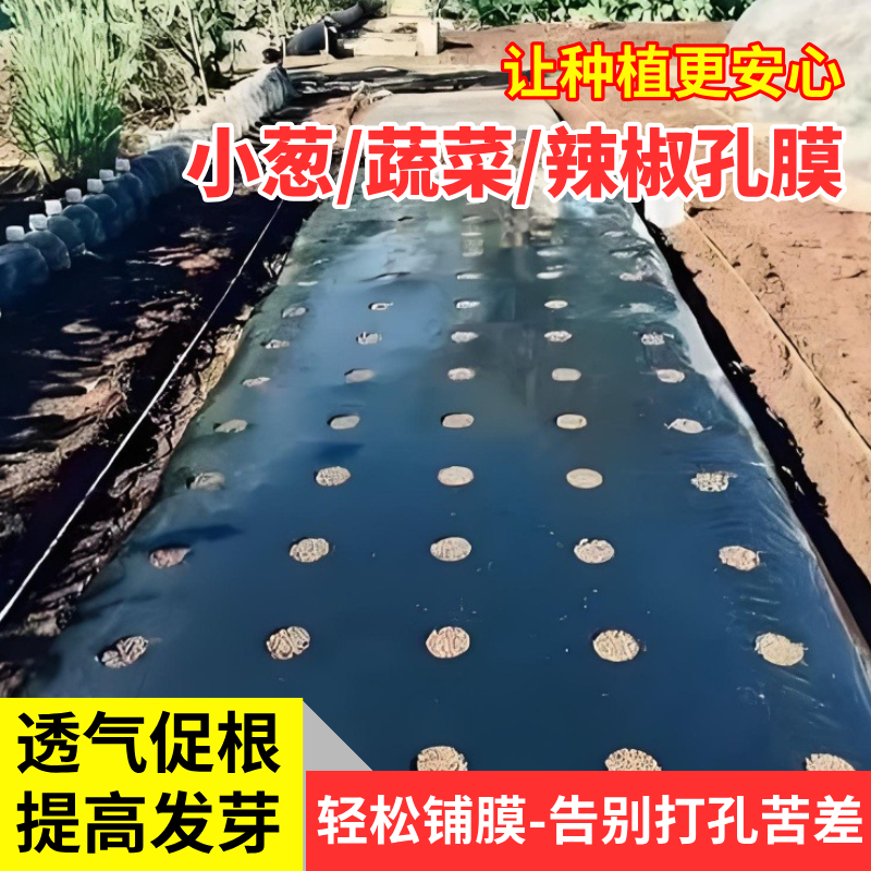 开孔地膜农用种植打孔地膜