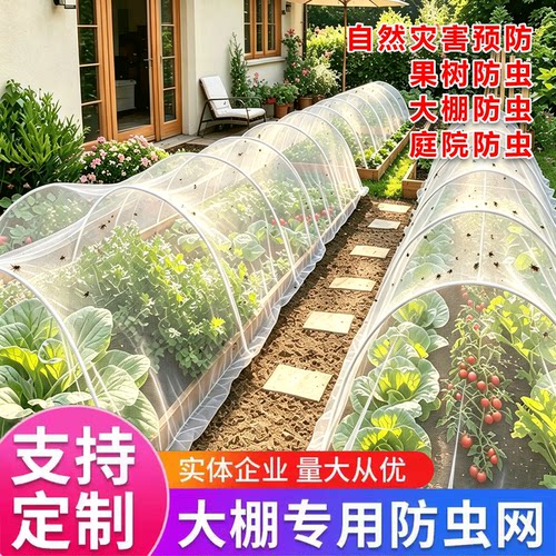 种菜防虫网庭院阳台盖菜纱网罩