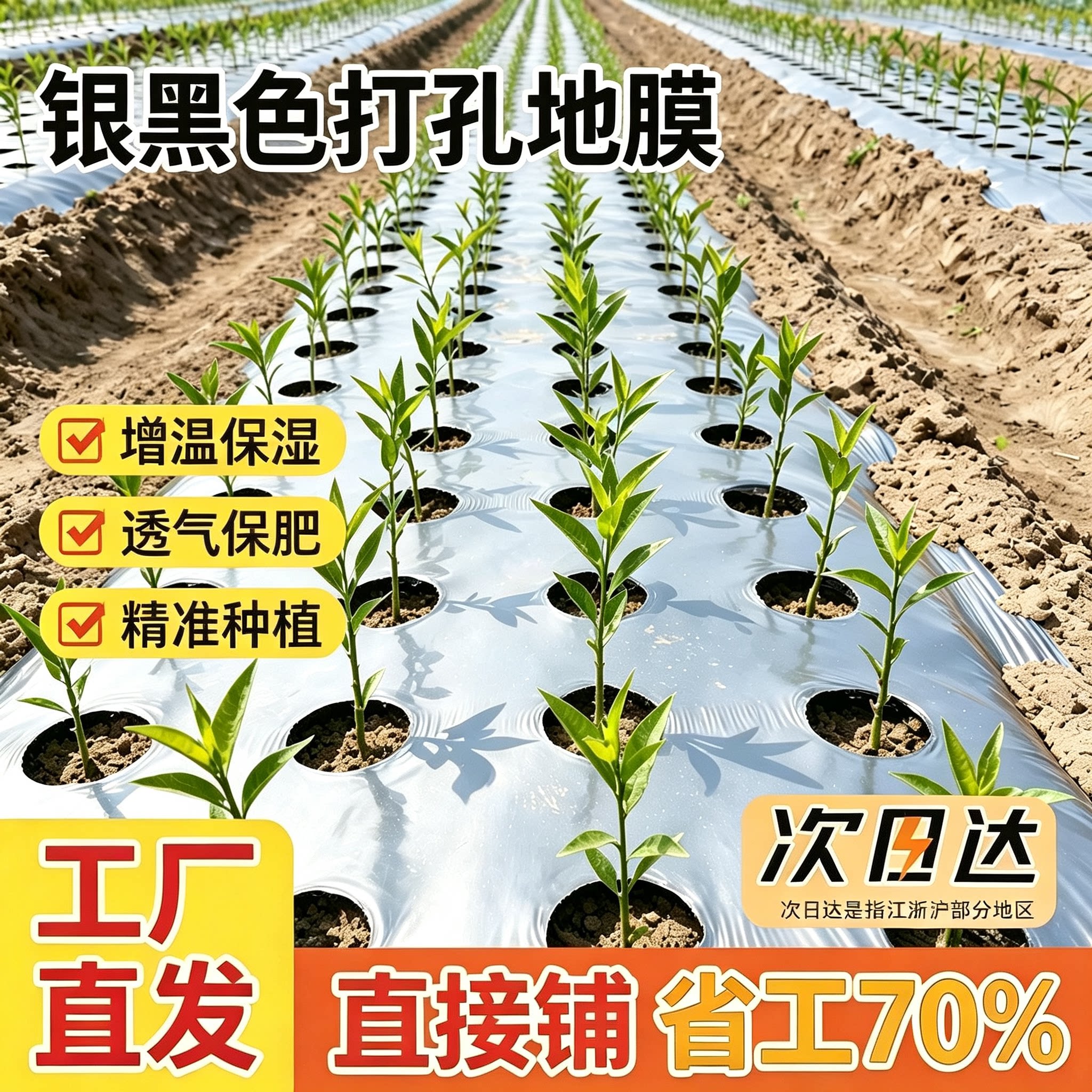 银黑打孔地膜农用种植加厚反光专用孔带塑料薄膜蔬菜防草大棚草莓