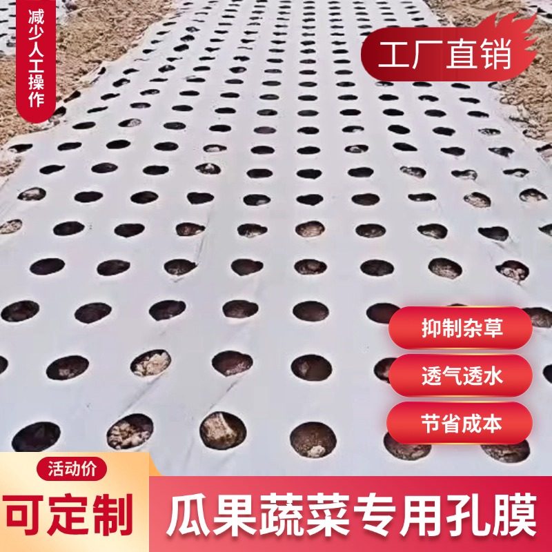打孔地膜农用种植种菜专用塑料薄膜防草地银黑双色反光膜除草覆盖,农机/农具/农膜,农用薄膜,淘宝优惠券,粉丝福利购,淘宝优惠卷