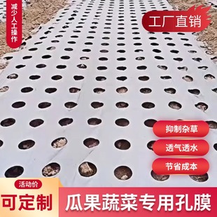 打孔地膜农用种植种菜专用塑料薄膜防草地银黑双色反光膜除草覆盖