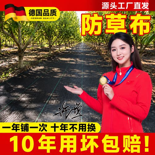 防草布除草布耐用果园果树专用地布地膜抗老化遮草防长草有孔盖草