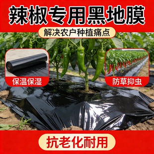 辣椒专用地膜黑色加厚农用种植塑料薄膜防草布除草菜园保温防长草