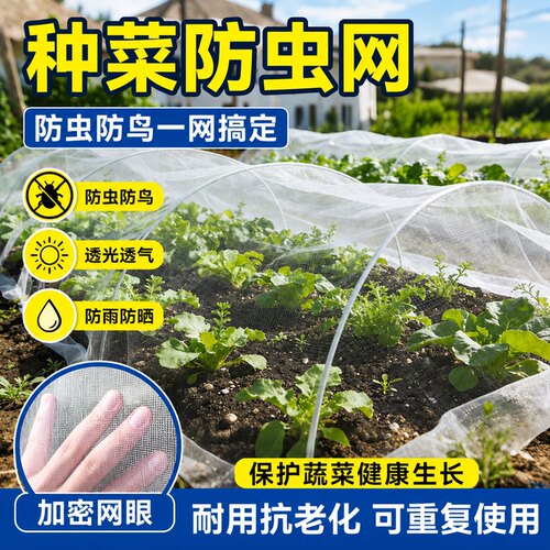 种菜防虫网拱棚支架菜园专用农用加厚纱网尼龙网80目大棚蔬菜种植