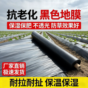 地膜种菜专用黑色加厚农用种植塑料薄膜防草布除草菜园保温防长草