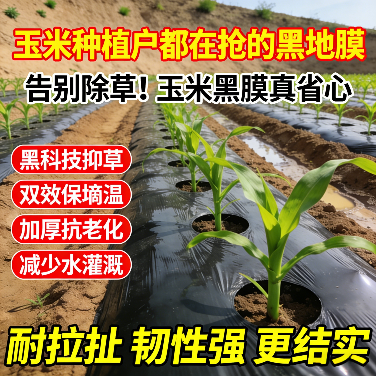 玉米专用地膜黑色加厚塑料薄膜农用种植草莓一次性黑膜盖菜防草布,农机/农具/农膜,农用薄膜,淘宝优惠券,粉丝福利购,淘宝优惠卷