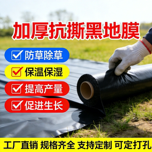 草莓专用地膜黑色加厚农用种植塑料薄膜一次性黑膜新型盖菜防草布