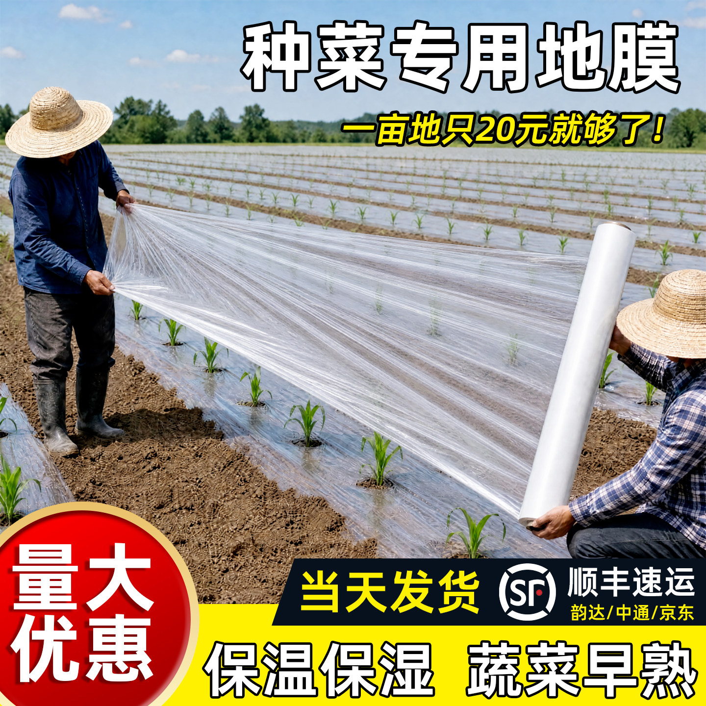 地膜种菜专用透光加厚种植保温塑料薄膜一次性种菜育苗保湿白地膜