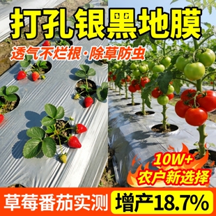 打孔银黑地膜农用种植种菜专用塑料薄膜防草虫双色反光带孔免打孔