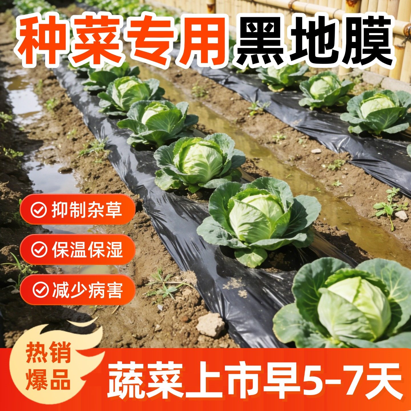 地膜种菜专用黑色加厚农用种植塑料薄膜防草布除草菜园保温防长草,农机/农具/农膜,农用薄膜,淘宝优惠券,粉丝福利购,淘宝优惠卷