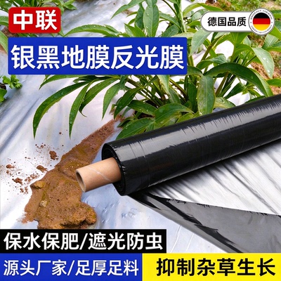 银黑双色反光银灰地膜果树专用除防长草黑色胶纸薄膜农用种植加厚