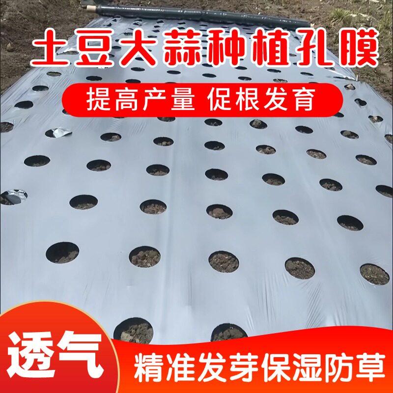 打孔地膜农用种植种菜专用塑料薄膜防草地银黑双色反光膜除草覆盖