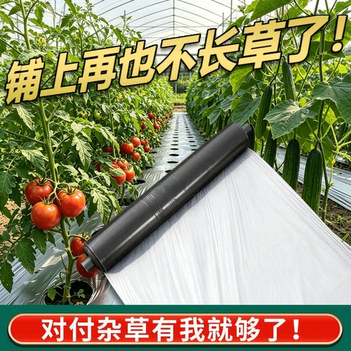 全新料银黑双色地膜防虫反光加厚地膜覆盖防草保温地膜农用薄膜