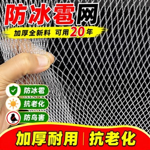 加厚防雹网果园防冰雹网抗老化果树农用网防护网防鸟神器防鸟网