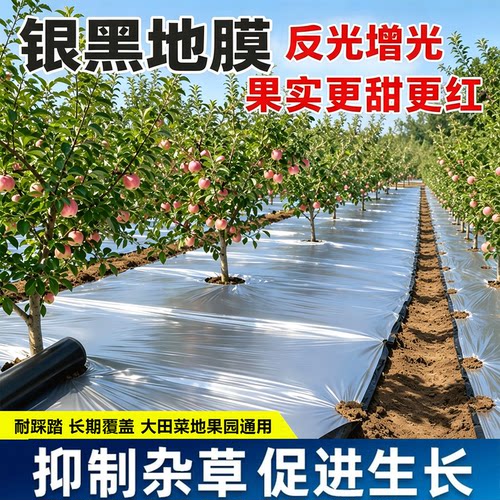 农用银黑双色地膜加厚薄膜
