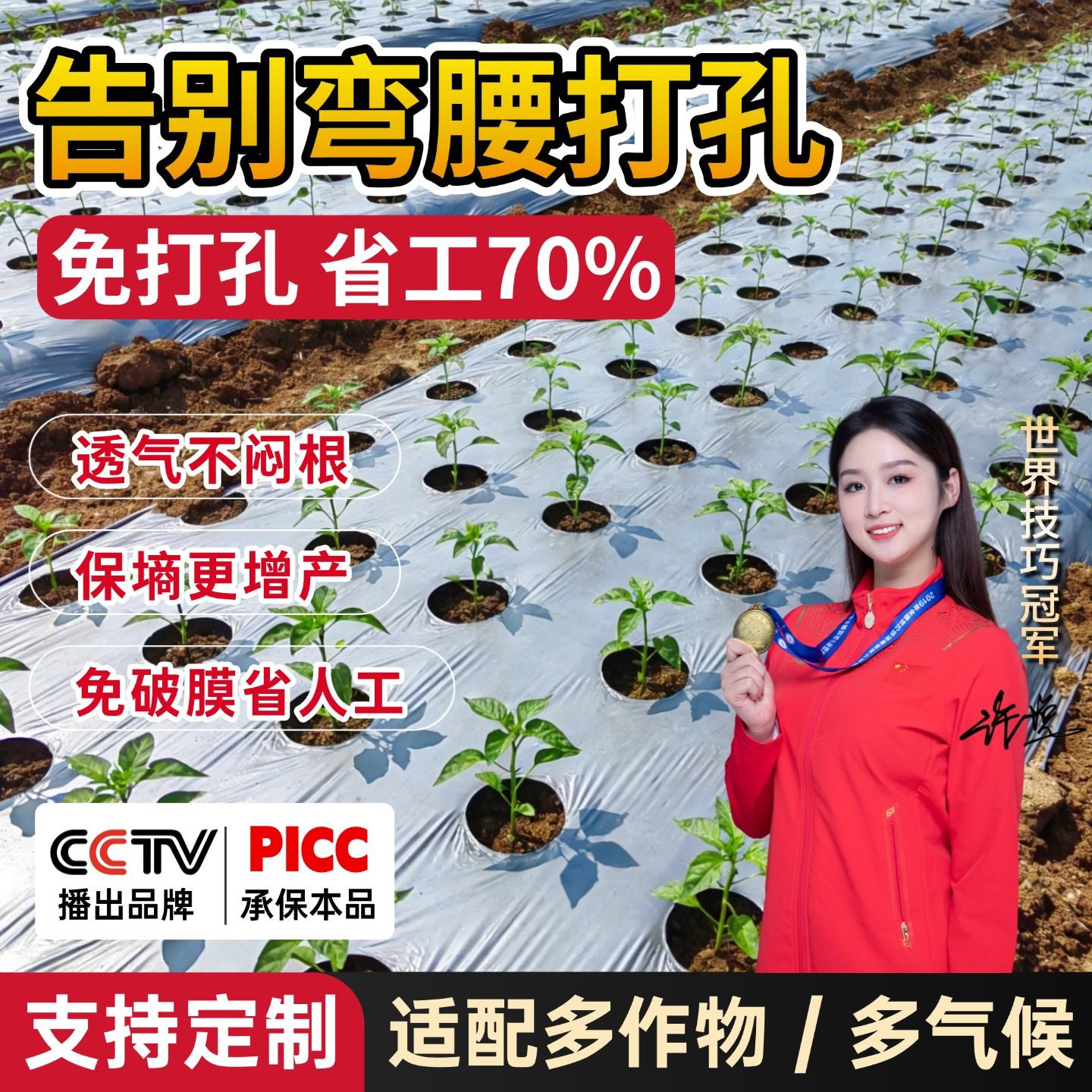 打孔银黑地膜农用种植种菜专用塑料薄膜防草虫双色反光带孔免打孔,农机/农具/农膜,农用薄膜,淘宝优惠券,粉丝福利购,淘宝优惠卷