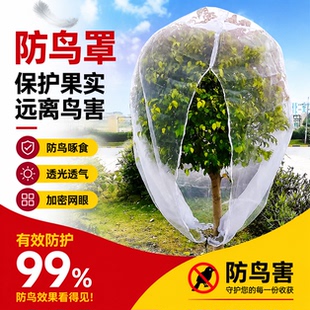 嘉宝果树防鸟罩樱桃树葡萄蓝莓杨梅蔬菜花卉绿植防虫网罩袋抗老化