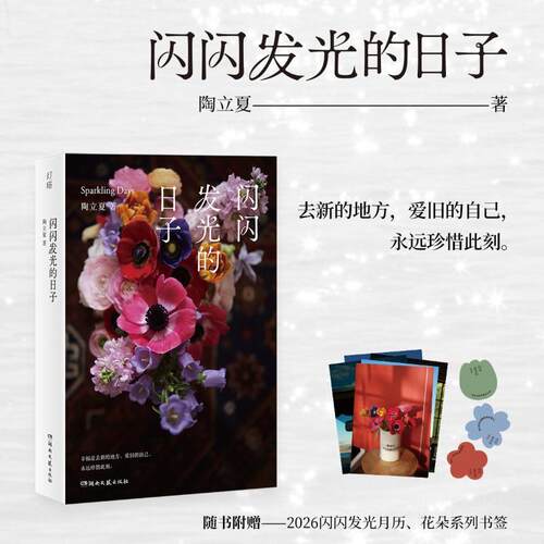 【正版】 闪闪发光的日子 湖南文艺出版社 陶立夏 著 著