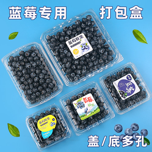 蓝莓吸塑盒多容量方形树莓打包盒
